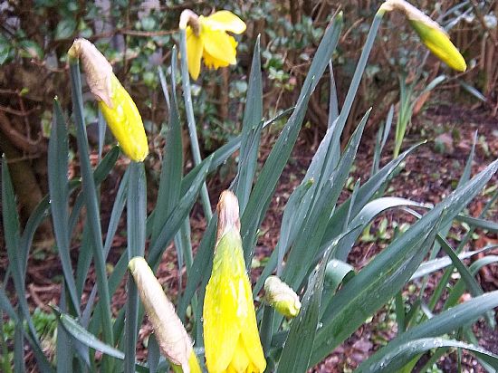 spring in the air lochaber physiotherapy fort william